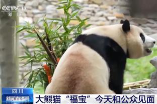 阿尔本与女友在成都参观大熊猫，还展示了特别版头盔涂装？